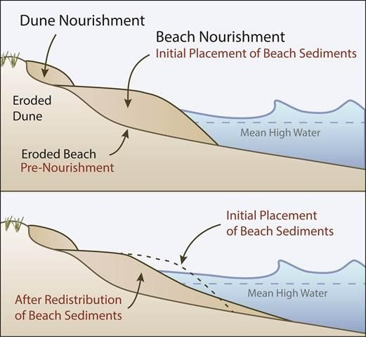 <p><strong>Soft engineering method</strong></p><p>Pumping/dumping sand + shingle back onto beach to replace eroded material</p><ul><li><p><span style="color: green">Beaches absorb wave energy</span></p></li><li><p><span style="color: green">Widens beachfront</span></p></li><li><p><span style="color: red">Must be repeated regularly - expensive</span></p></li><li><p><span style="color: red">Can impact sediment transportation down coast</span></p></li></ul>