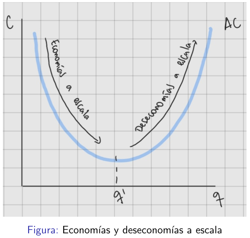 <p>el costo promedio cae en la medida que la producción aumenta</p>