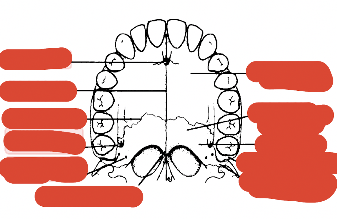 <p>label this diagram </p>