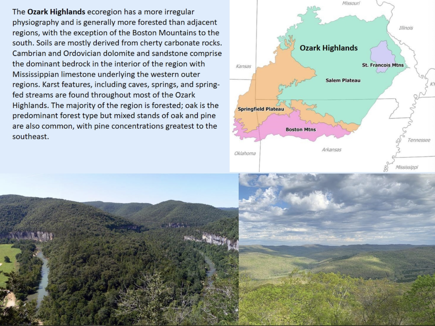 <p>Ecoregion has a more irregular physiography and is generally more forested than adjacent regions, with the exception of Boston mountains to the south.</p>