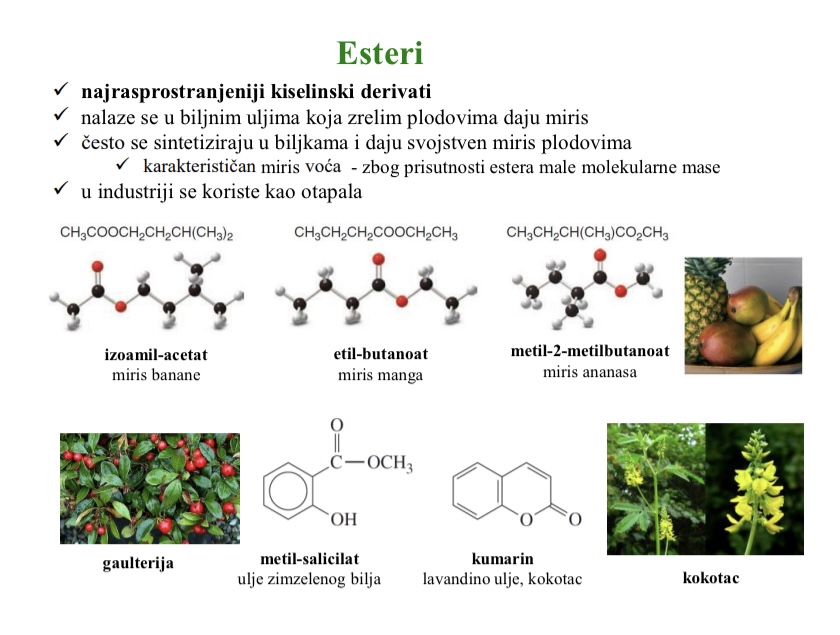 <ul><li><p>najrasprostranjeniji kiselinski derivati</p></li><li><p>daju miris</p></li><li><p>nalaze se u biljnim uljima</p></li><li><p>U industriji se koriste kao otapala</p></li></ul><p></p>