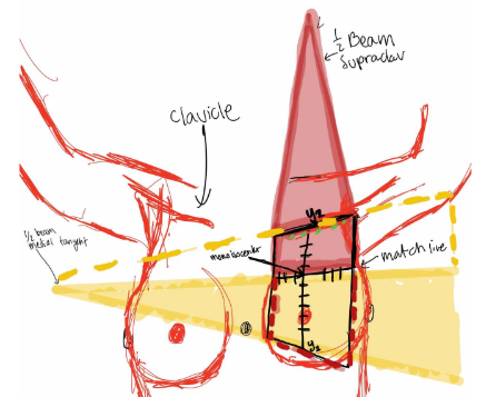 <p>def. Fields that are <strong>perpendicular </strong>to each other, and </p><p>have a <strong>single common border</strong></p>