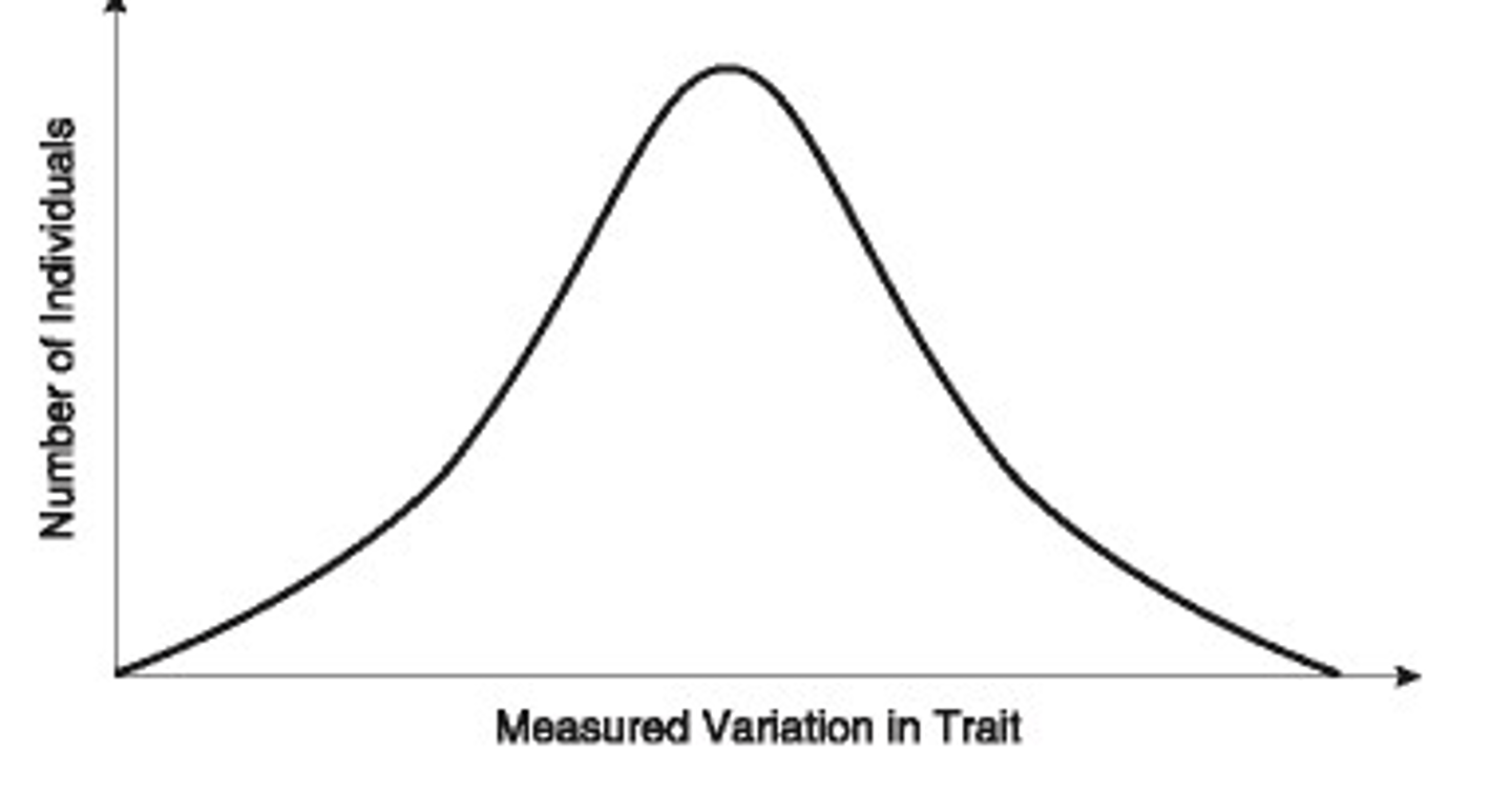 <p>traits that show continuous variation (most traits, i.e.: height, intelligence, athleticism)</p>