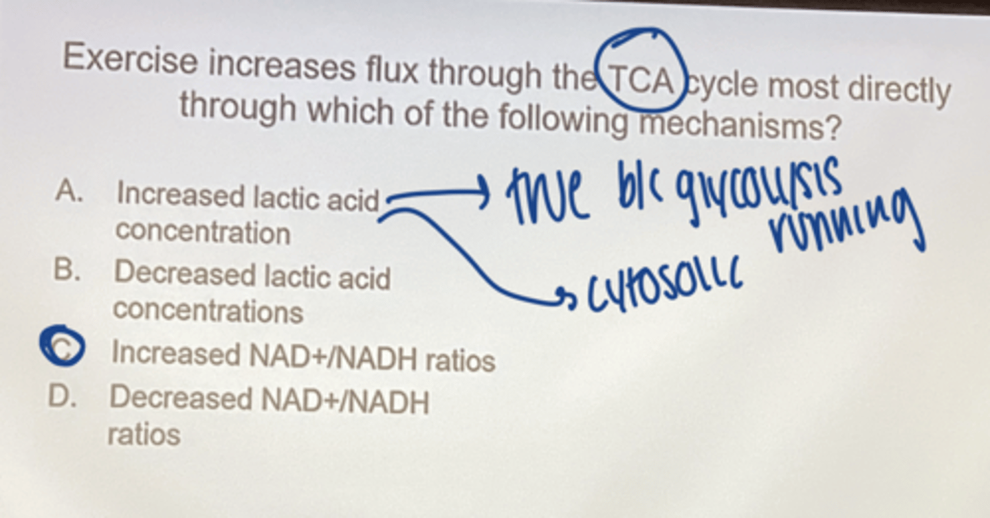 <p>increased NAD+/NADH ratios</p>