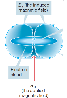 <p>magnetic dipole moment per unit volume is antiparallel to the field; paired electrons; present in all substances, no net mag. moment because all spins cancel out; temperature independent</p><p>in external field, induction causes internal current due to the change in the electron orbital angular momentum; this current opposes the ex. field</p><p>ex. bismuth</p>