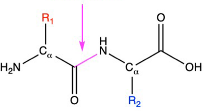 <p>What kind of bond is this?</p>