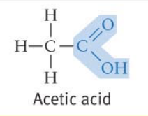 <p>Acts as an acid - tends to lose a proton in solution</p>