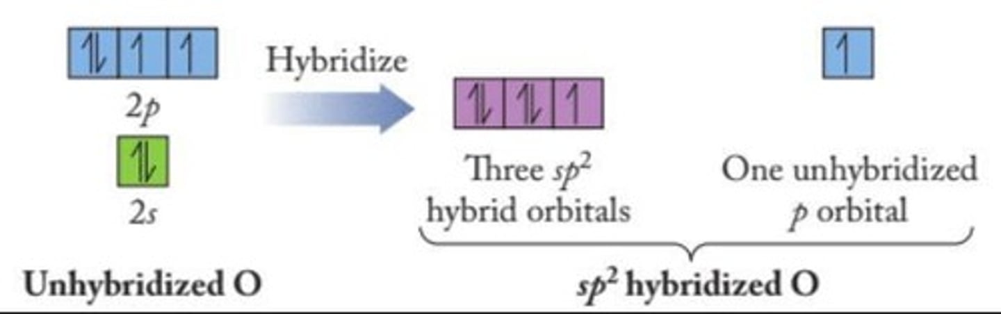 <p>One sigma sp2-sp2 overlap and one pi p-p overlap.</p>