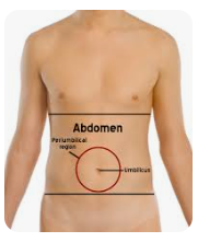 <p><span>Lower abdomen </span></p>