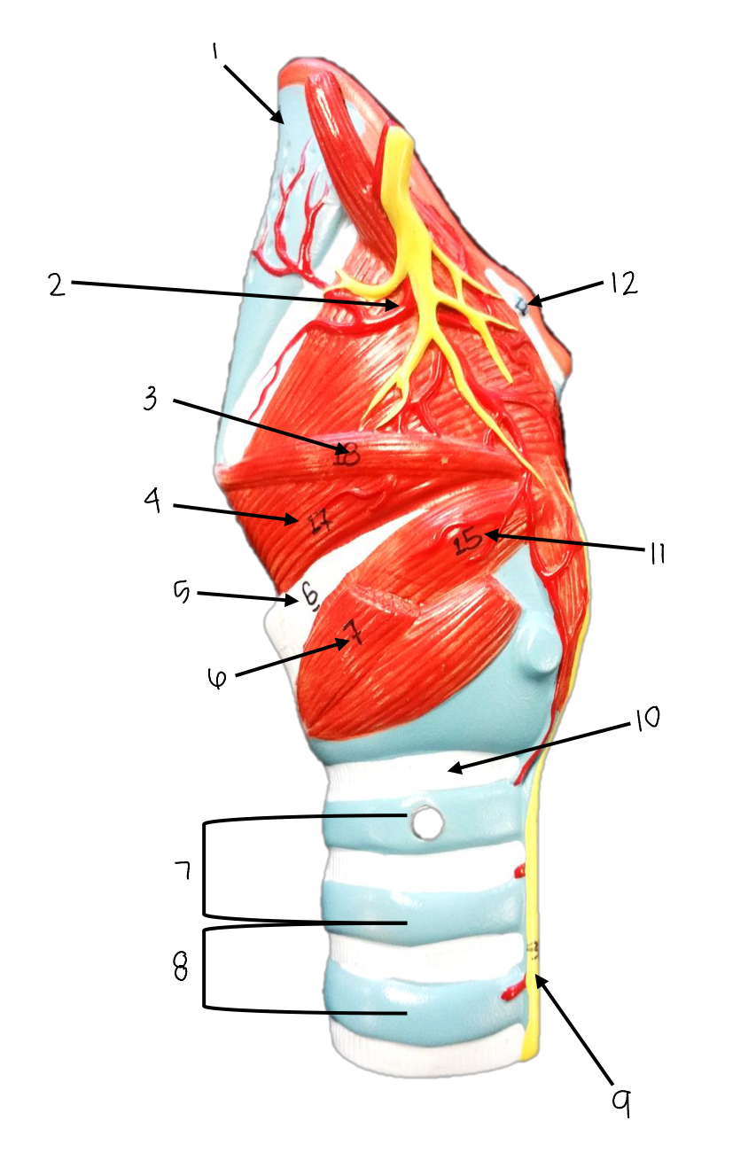 <p>what is number 3?</p>