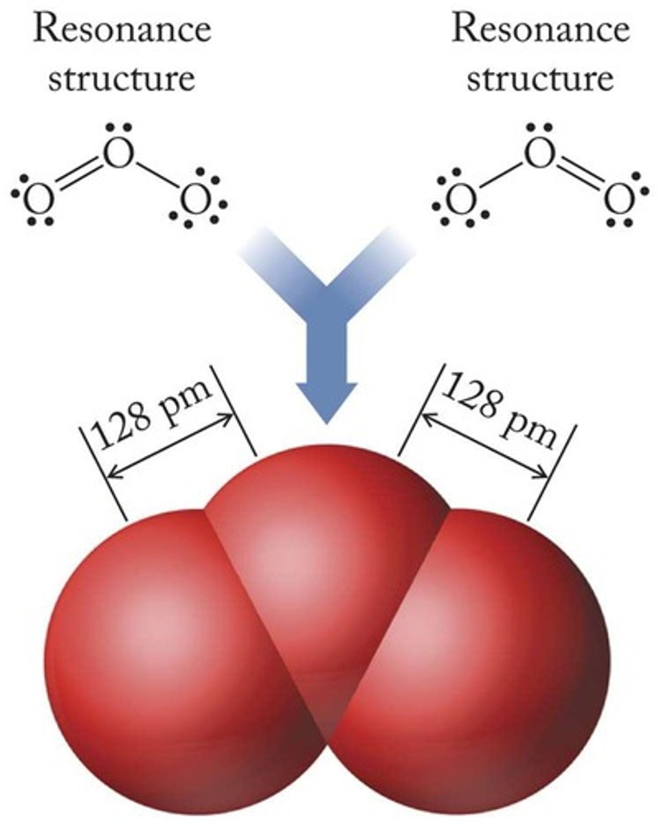 <p>Both bond lengths in ozone are identical due to delocalized bonding.</p>