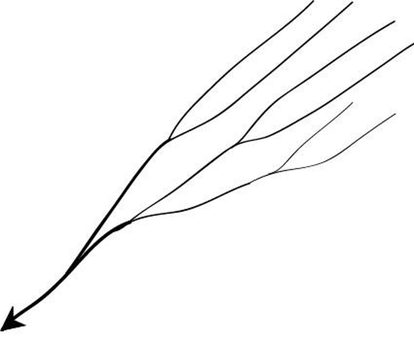 <p>Tributary streams tend to stretch out in a parallel-like fashion following the slope of the surface. A parallel pattern sometimes indicates the presence of a major fault that cuts across an area of steeply folded bedrock</p><p>Steeper basin</p>