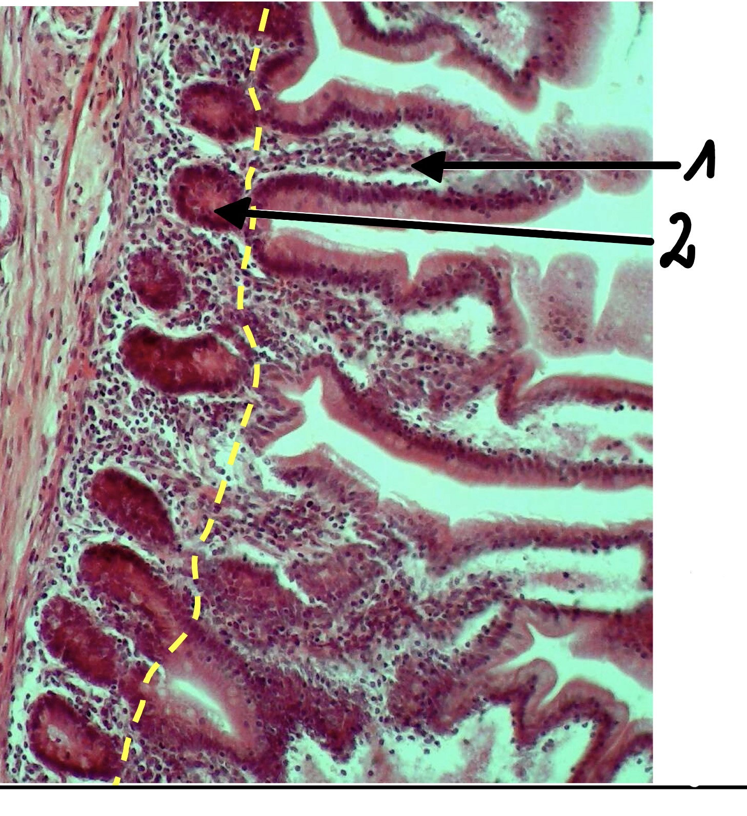 <p>2</p>