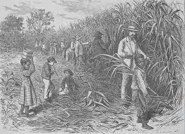 <p>Many people were needed to farm on plantations so people were ______ and forced to work long hours.</p>