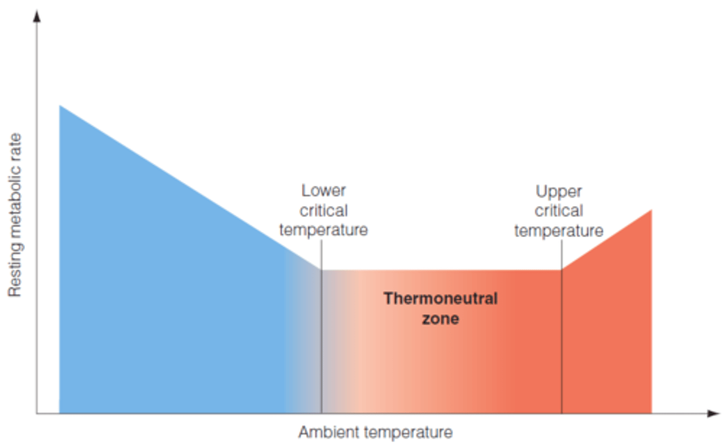 <p>The range of environmental temperatures within which the metabolic rates are minimal;</p><p>The body doesn't need to spend energy to withhold it's ideal temperature (catalyzation velocity is ideal).</p>