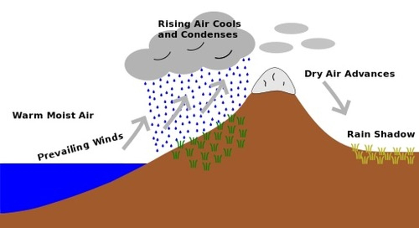 <p>(n)/ˈreɪnfɔːl ˈpætnz/Đặc điểm/quy luật lượng mưa"</p><p>...affect rainfall patterns across the tropics..."</p>