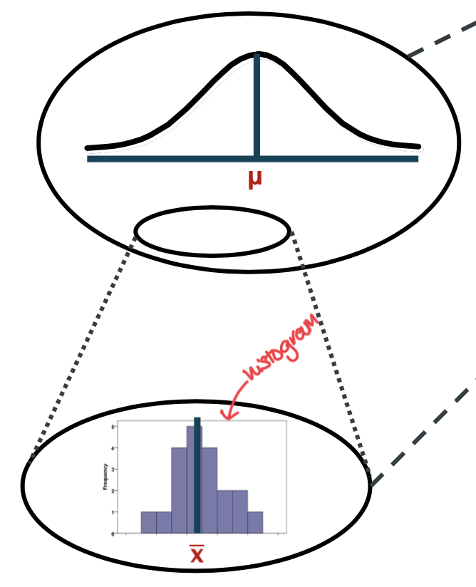 <p>x̄ (xbar)</p>