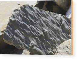 <p>What are these?</p>