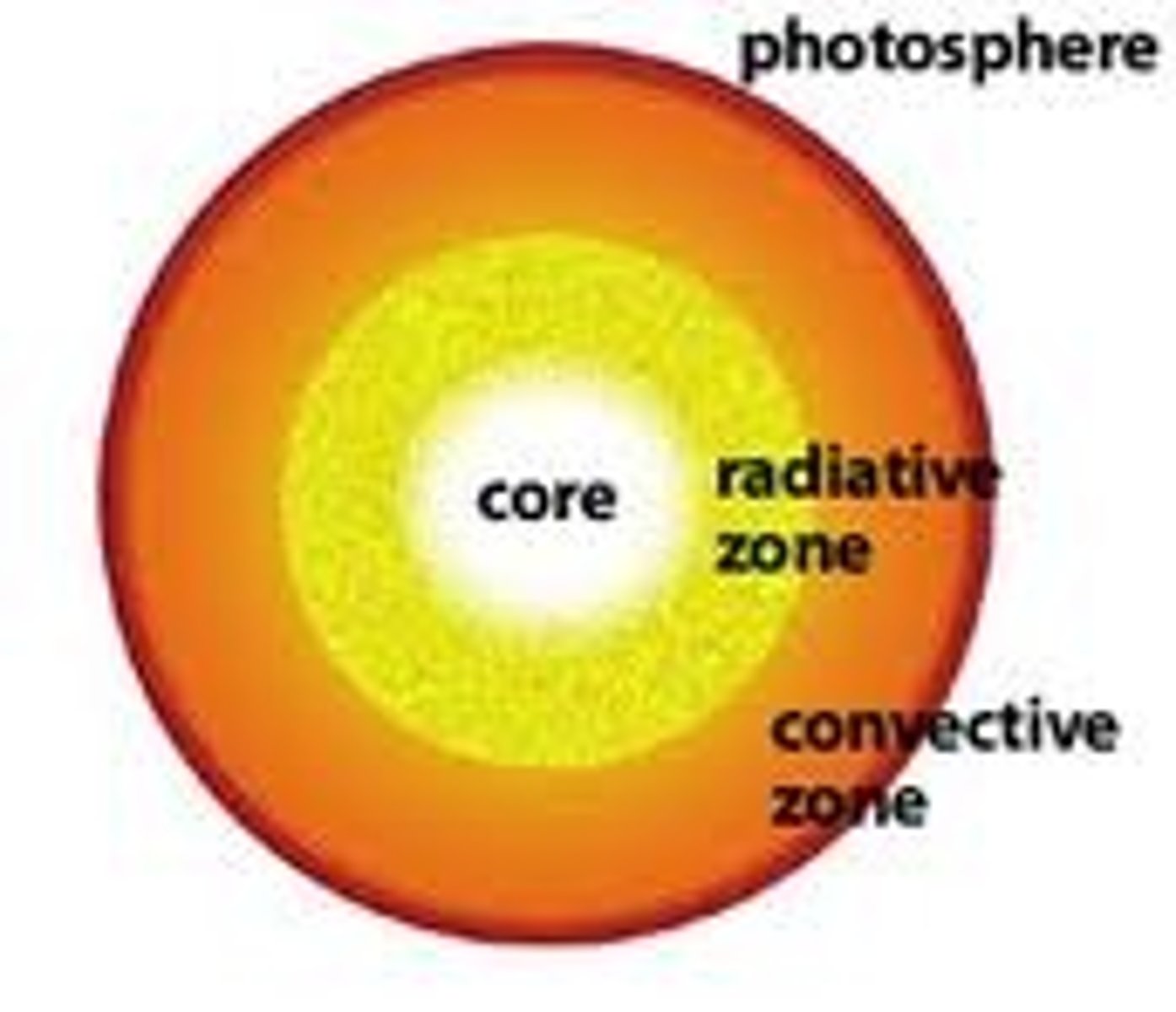 <p>- the zone of the sun's interior that is between the core and the convective zone and in which energy moves by radiation (radiative transfer)<br>- Energy is absorbed, emitted, and deflected by matter in unpredictable directions<br>- moves outwards through this zone through radiation<br>- energy transported outward by photons (random)<br>- Hotter photons move out from the core</p>