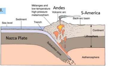 <ul><li><p>Mountain building</p></li><li><p>Continent is elevated</p></li><li><p>local (relative) sea level change</p></li></ul><p></p>