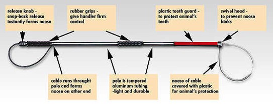 <p>Catch pole (dog snare)</p>