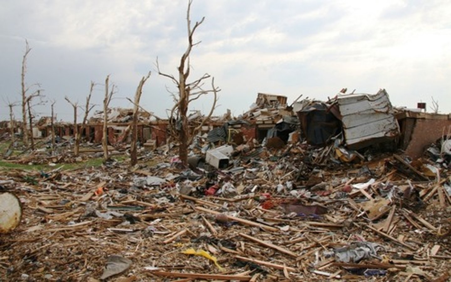 <p>(a) tàn phá (=destructive)</p>