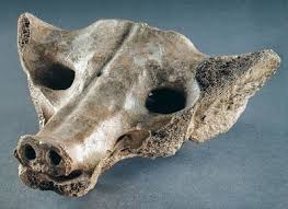 <p>Material: bone</p><p>Original Location: Tequixquiac, Central Mexico</p><p>Culture/period: Neolithic Americas</p><p>Date: 7000 BCE</p><hr><p>Current Location: Museo Nacional de Antropologia</p><p>City: <span>Mexico City</span></p><p>Country: Mexico </p>