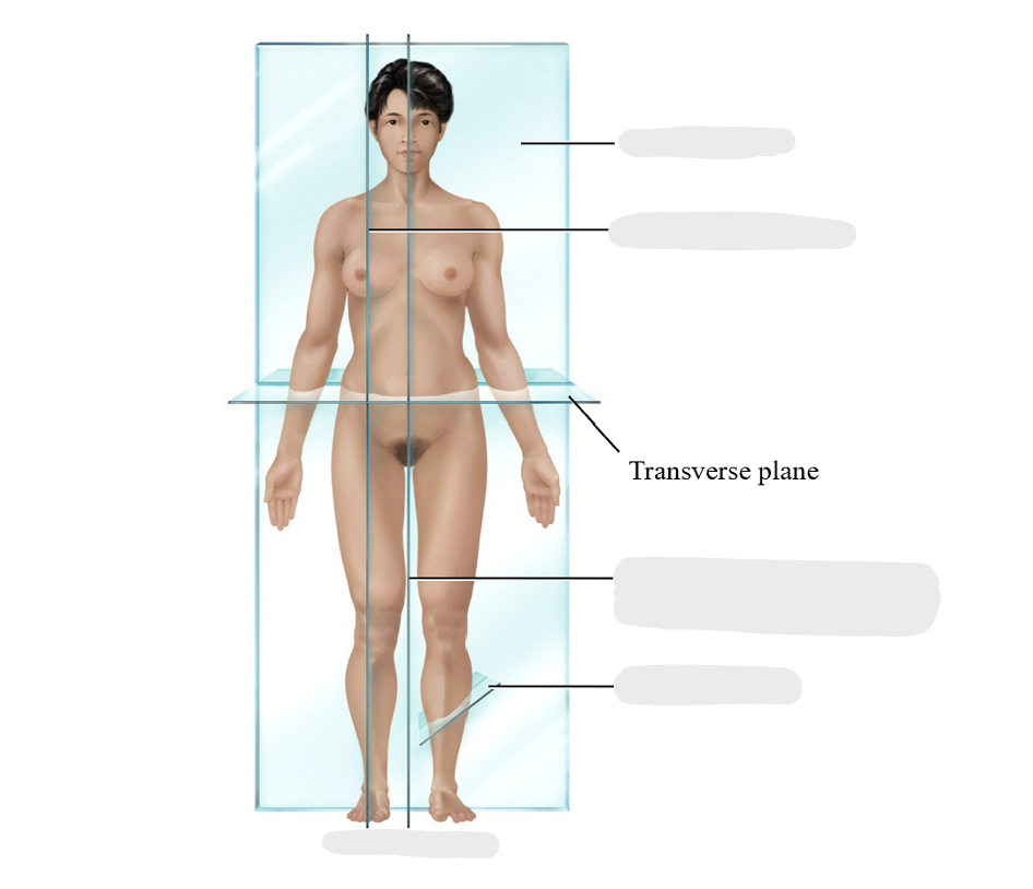 <p>think: medical imaging</p>