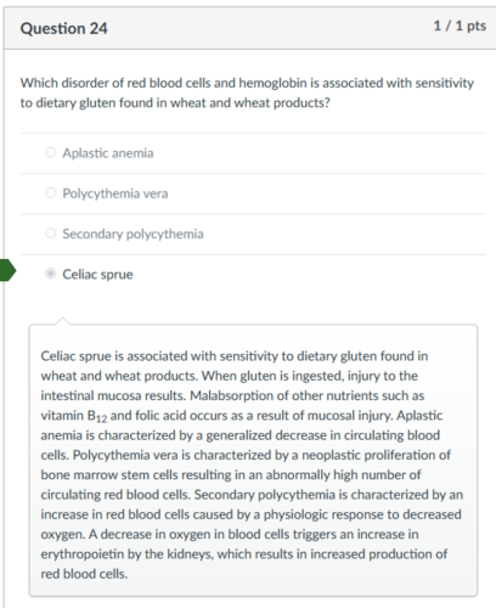 <p>Celiac sprue</p><p>Celiac sprue is associated with sensitivity to dietary gluten found in wheat and wheat products. When gluten is ingested, injury to the intestinal mucosa results. Malabsorption of other nutrients such as vitamin B12 and folic acid occurs as a result of mucosal injury. Aplastic anemia is characterized by a generalized decrease in circulating blood cells. Polycythemia vera is characterized by a neoplastic proliferation of bone marrow stem cells resulting in an abnormally high number of circulating red blood cells. Secondary polycythemia is characterized by an increase in red blood cells caused by a physiologic response to decreased oxygen. A decrease in oxygen in blood cells triggers an increase in erythropoietin by the kidneys, which results in increased production of red blood cells.</p>