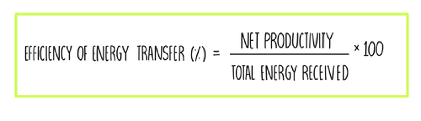 <p>Net productivity is NPP</p>