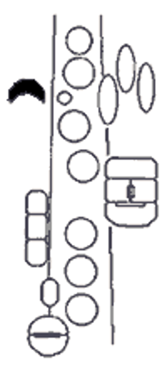 knowt flashcard image