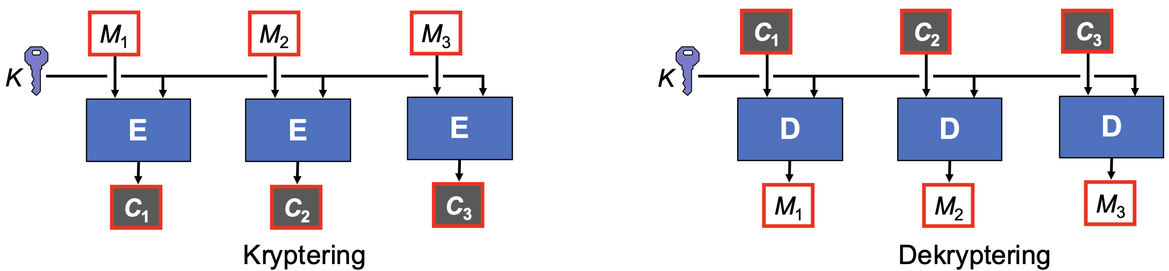 <p><span>ECB (Electronic Code Book) er den enkleste krypteringsmodusen for blokkchiffer, men også den <strong>minst sikre</strong>. I ECB-modus blir hver klartekstblokk kryptert uavhengig av de andre blokkene, ved å bruke samme nøkkel. Dette fører til et betydelig sikkerhetsproblem: <strong>like klartekstblokker vil resultere i identiske chiffertekstblokker. </strong>Tenk deg et bilde som krypteres med ECB. Fordi like fargepikselverdier i bildet vil bli kryptert til samme verdi, vil mønstre i bildet være synlige selv i den krypterte versjonen.</span></p><p><span><strong>kryptering = C1 = E(M1, K)</strong></span></p><p><span><strong>dekryptering = M1 = D(C1, K)</strong></span></p>