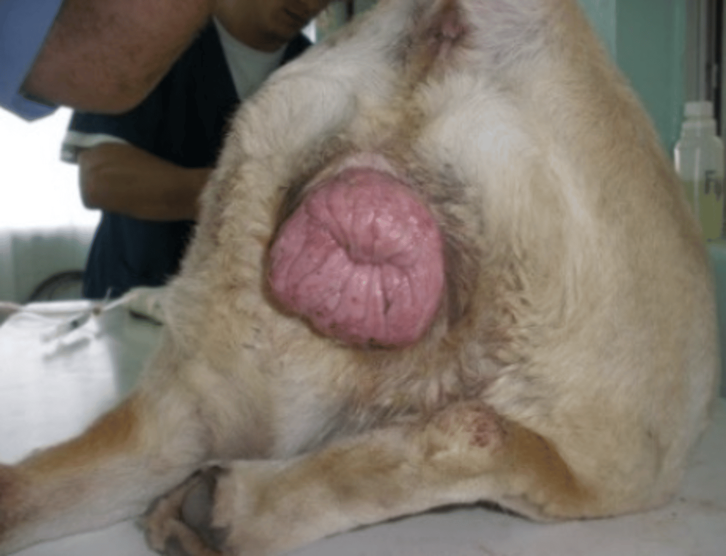 <p>what is the problem?</p>