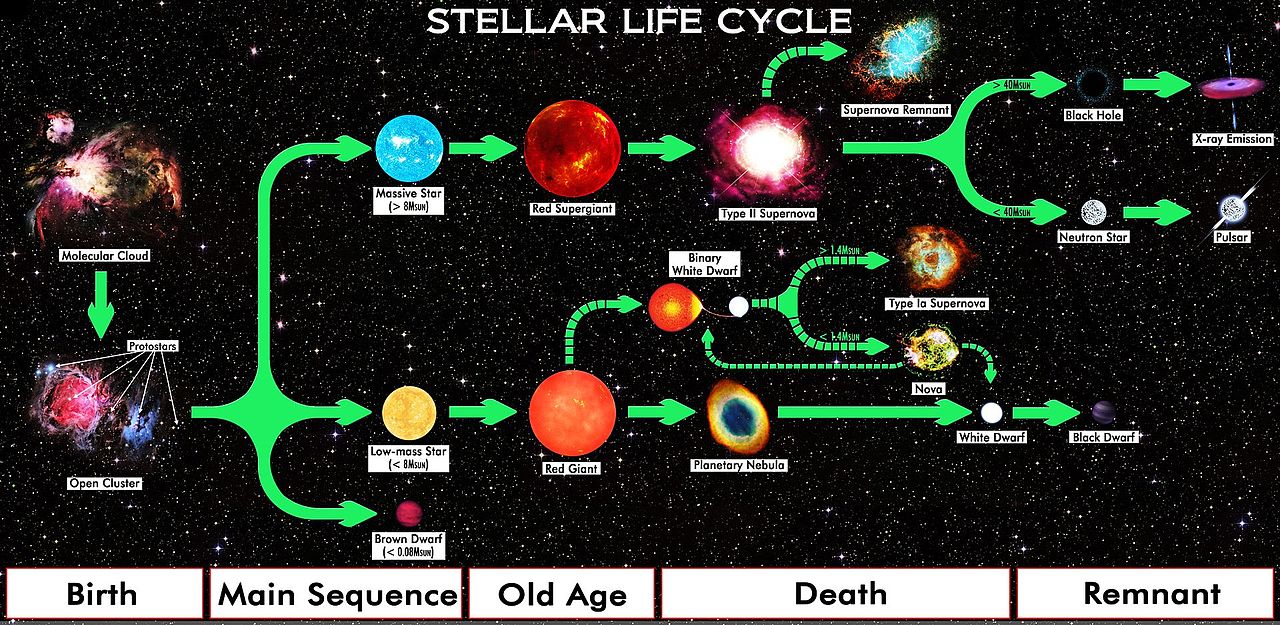 * Eventually, the hydrogen that fuels the star's core runs out. 
* The outward radiation pressure is now no longer present, and the star collapses once more under its own gravity.
* This causes a further temperature rise within the star, until hydrogen can undergo fusion in a shell surrounding the core, which is now rich in helium. 
* The new nuclear reactions that occur cause the outer layers of the star to expand and cool to form a red giant or supergiant.