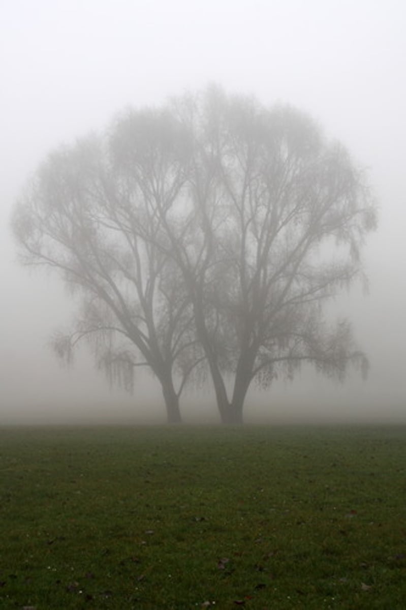 <p>hazy; vague; uncertain</p>