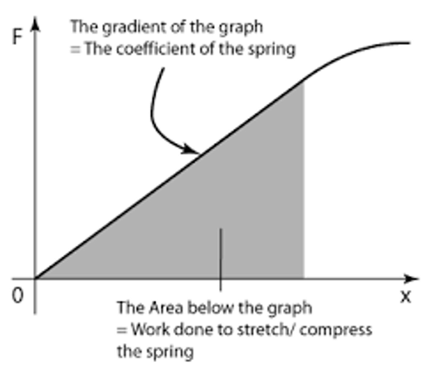 <p>Elastic strain energy</p>