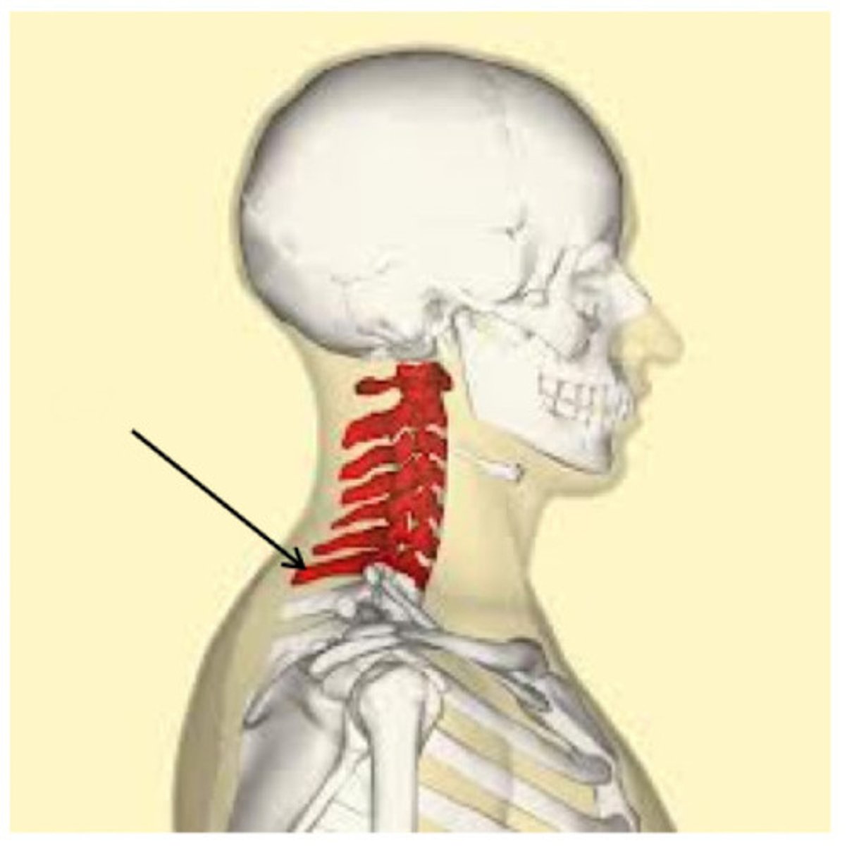 <p>What is the arrow pointing to?</p>