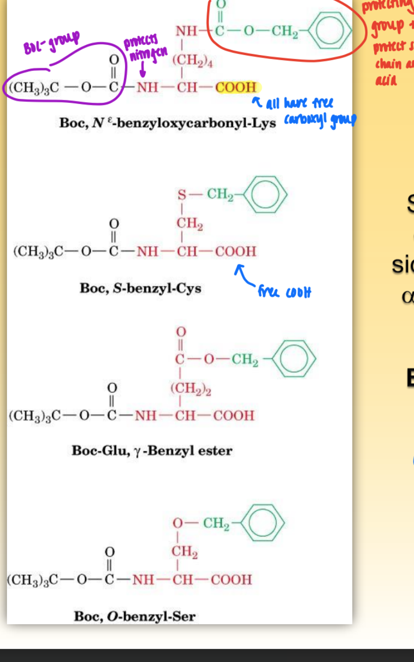 <ul><li><p>= protecting group on side chains w/ specificity</p></li><li><p>protects amino group</p></li><li><p>used in solid phase peptide synth (merrifield)</p></li><li><p>all have free COOH</p></li></ul><p></p>
