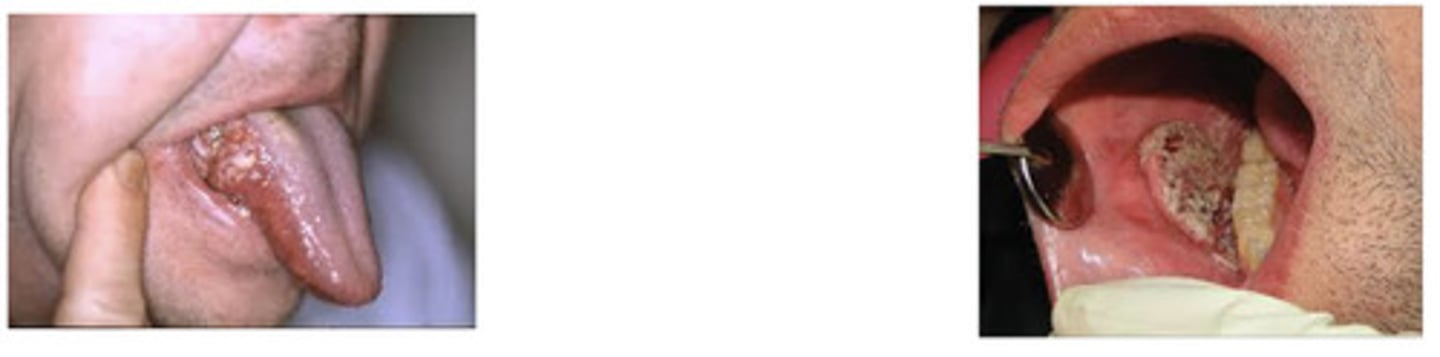 <p>What is this ?</p>