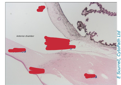 <p>What are we looking at in this image?</p>