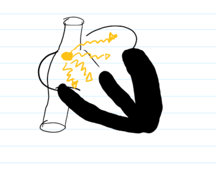 <p>right atrium and superior vena cava. </p>