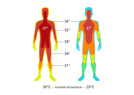 <p>Body Temperature</p>
