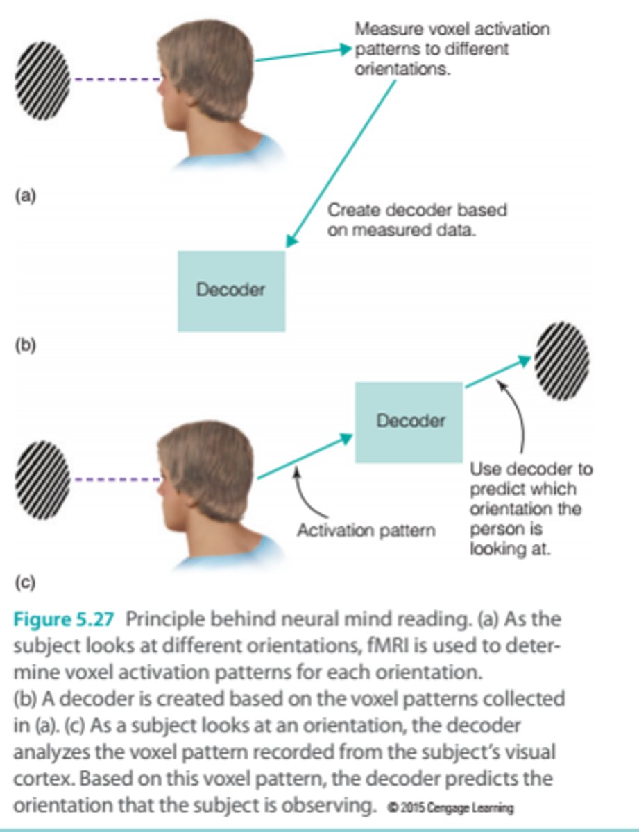 <p>Using a neural response to determine what a person is perceiving or thinking, usually by fMRI.</p>