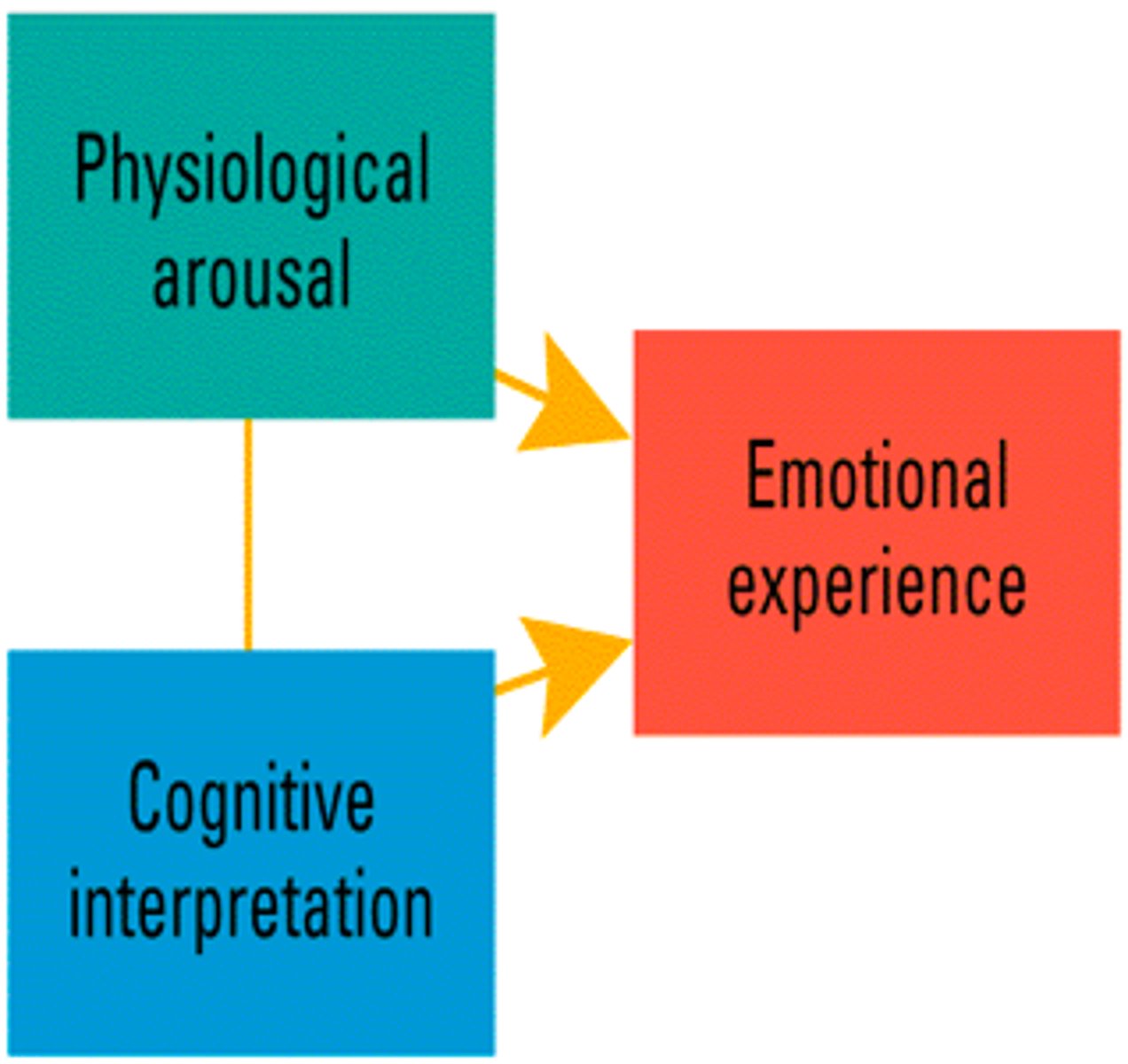 <p>According to the Schachter-Singer's theory, a person experiences an emotion when they have a physiological response and label it</p>