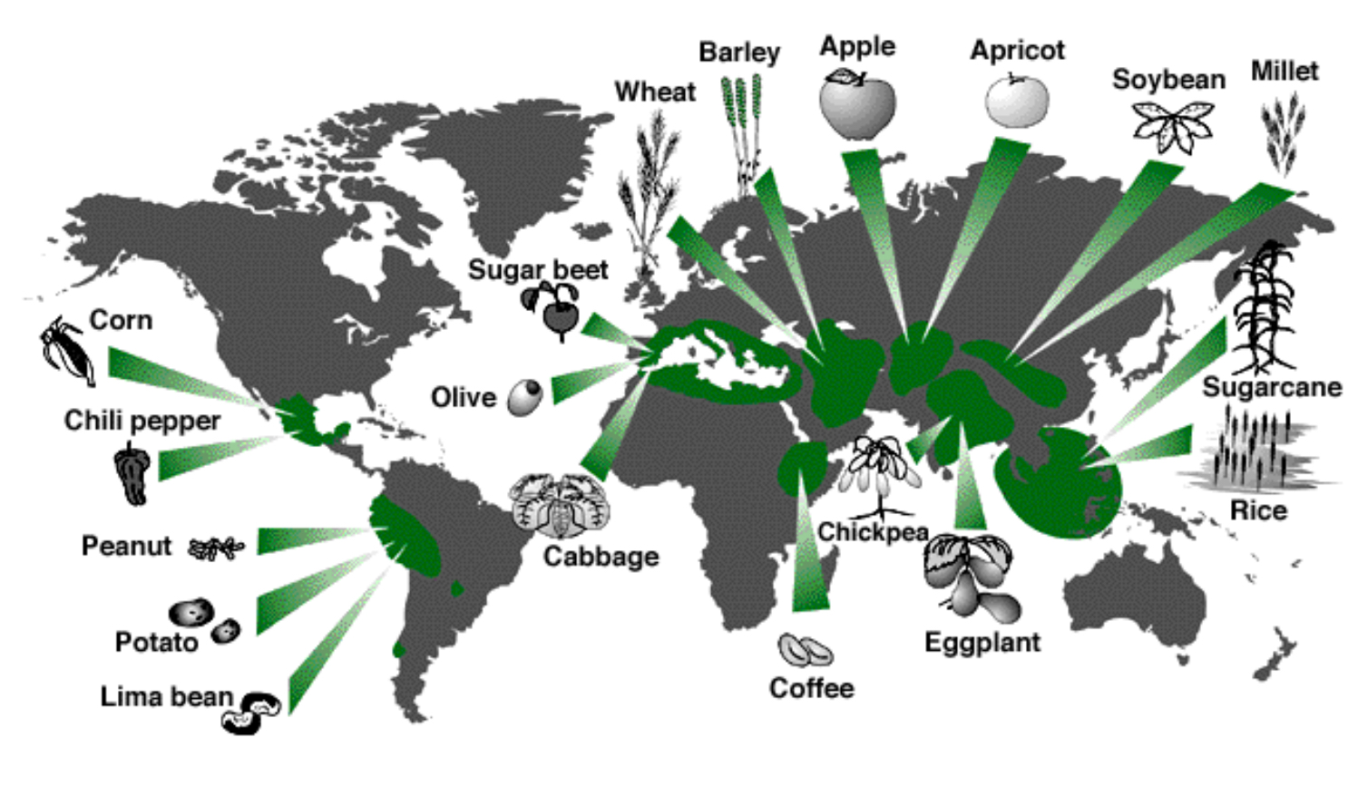 <p>The region where their ancestral species were first domesticated</p>