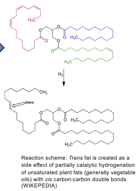 <p>created as a side effect of partially catalytic hydrogenation of unsaturated plant fats (generally vegetable oils) with <em>cis</em> carbon-carbon double bonds </p>