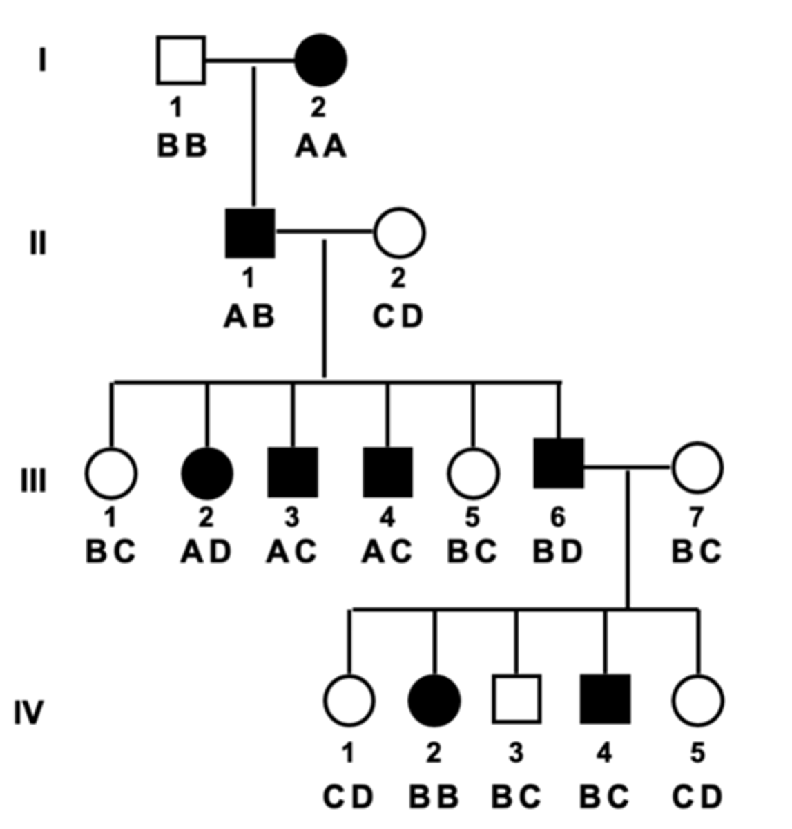 <p>Below is the pedigree for a family that carries an autosomal dominant disorder that has complete penetrance and invariable expressivity. The mutation causing this disorder is LINKED to a DNA marker locus with four alleles A, B, C, and D. The marker alleles present within each individual are indicate below the pedigree symbols. Which individual in generation III is likely to be recombinant?</p>