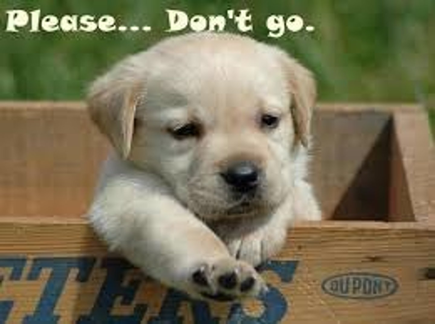<p>don't go away</p>