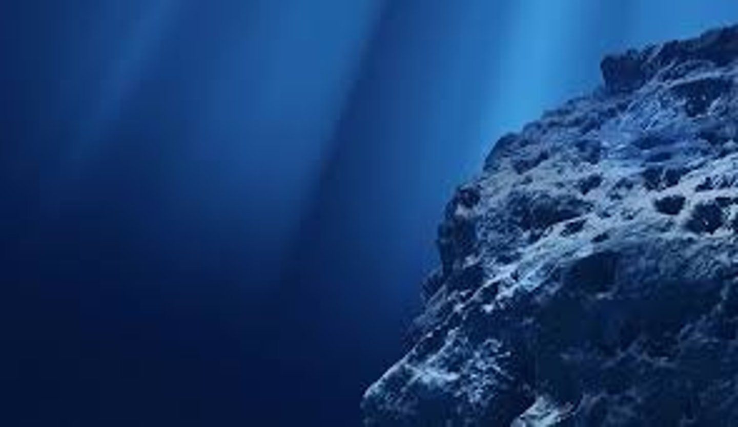 <p>deep ocean water, located away from the shoreline where sunlight can no longer reach the ocean bottom</p>