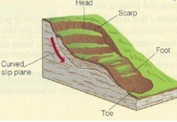 <p>a slump of saturated soil and weak rock along a curved surface</p>